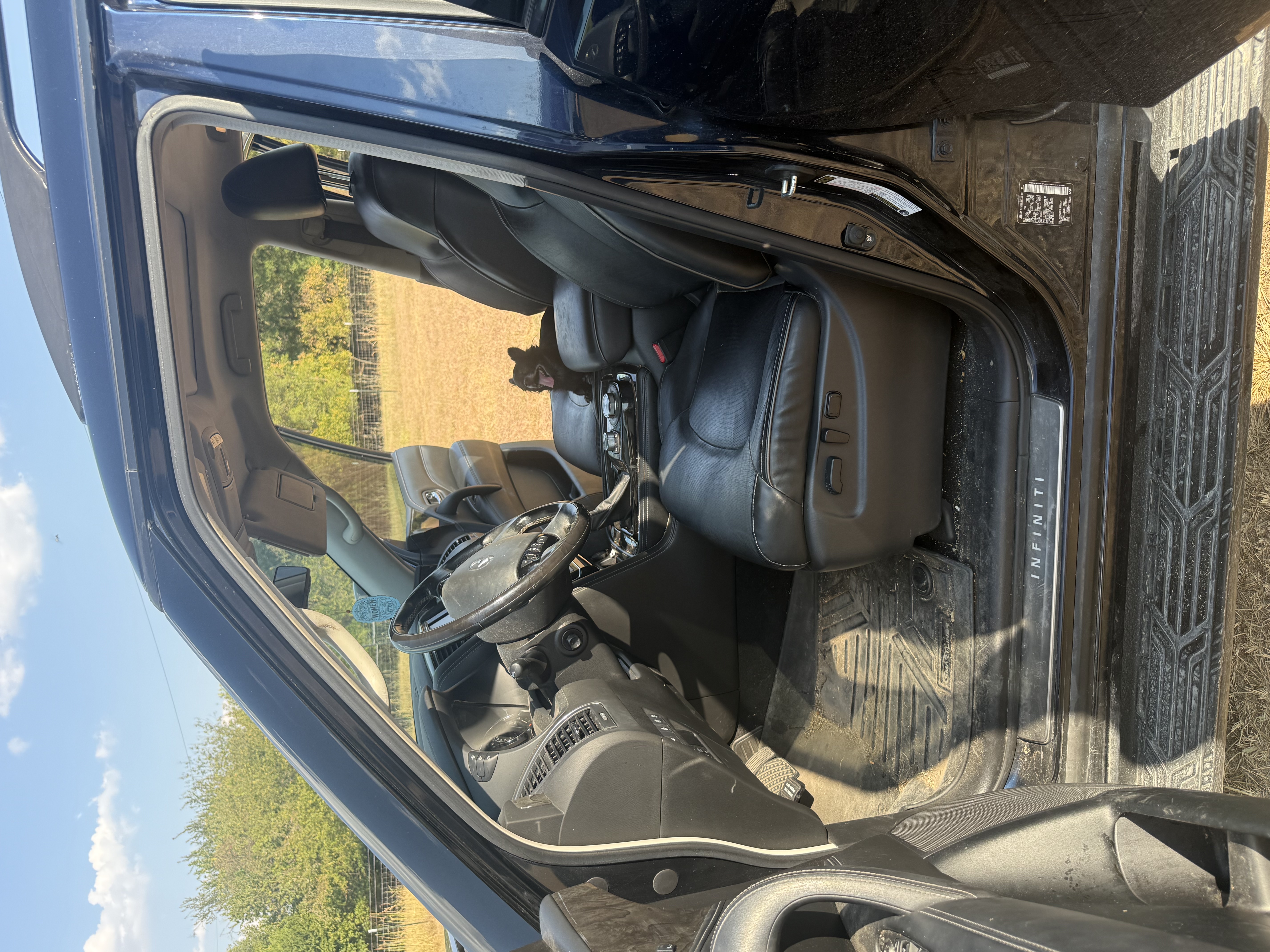 QX80 Interior Before Detail